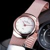 Unbranded Skagen Rose Gold Tone Watch