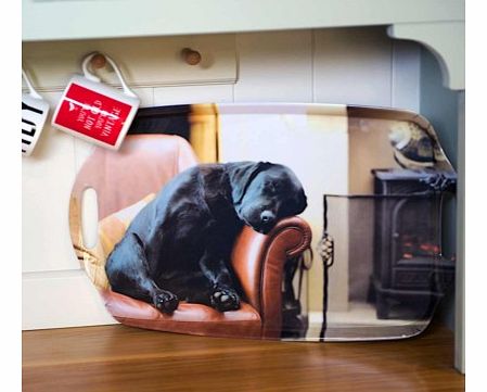 Unbranded Sleeping Labrador Tray 4846CX