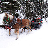 Sleigh Ride - Adult