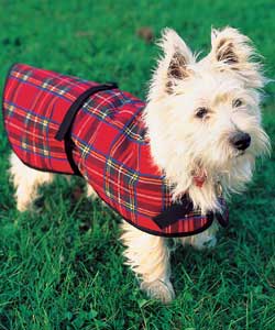 Small Tartan Dog Coat