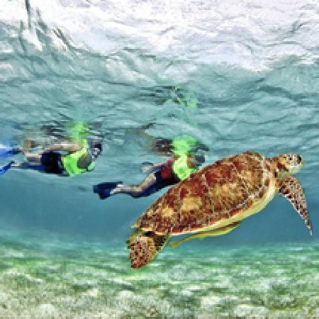 Unbranded Snorkelling Adventure from Cancun - Child