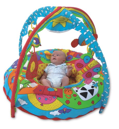 Soft Play Playnest & Gym, James Galt toy / game