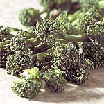 Unbranded Sprouting Broccoli Tendergreen Plug Plants