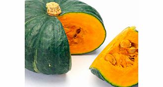 Unbranded Squash Plants - Kabocha