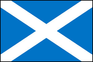 Unbranded St Andrew paper flag, 11`` x 8``