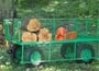   The ultimate in garden trolleys which can carry