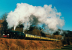 The gleaming carriages of the British Pullman adorned in umber and cream livery wait as stewards, in