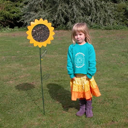 Sunflower Feeder Standing