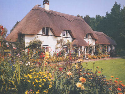 THATCHED COTTAGE GARDEN