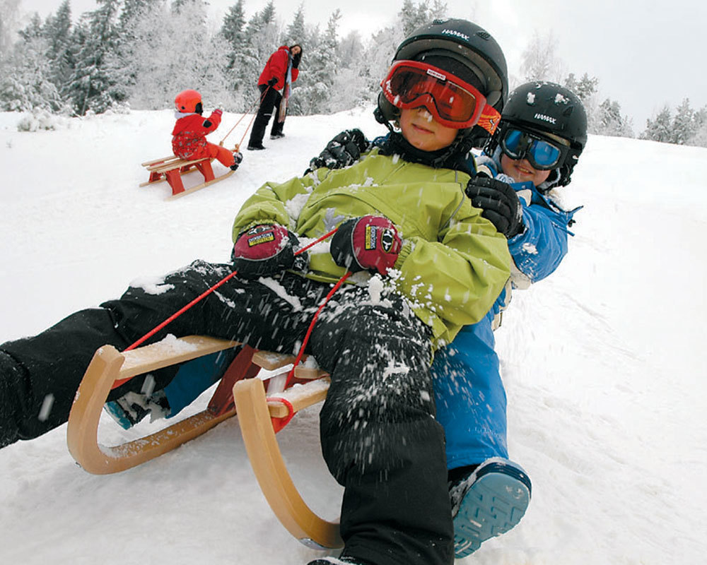 Unbranded Timber Sledge