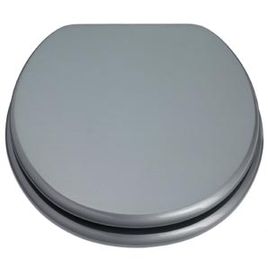 Toilet Seat- Metallic