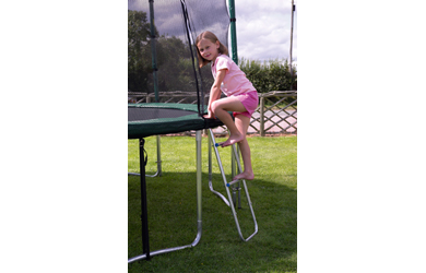 Unbranded TP41 Trampoline Ladder