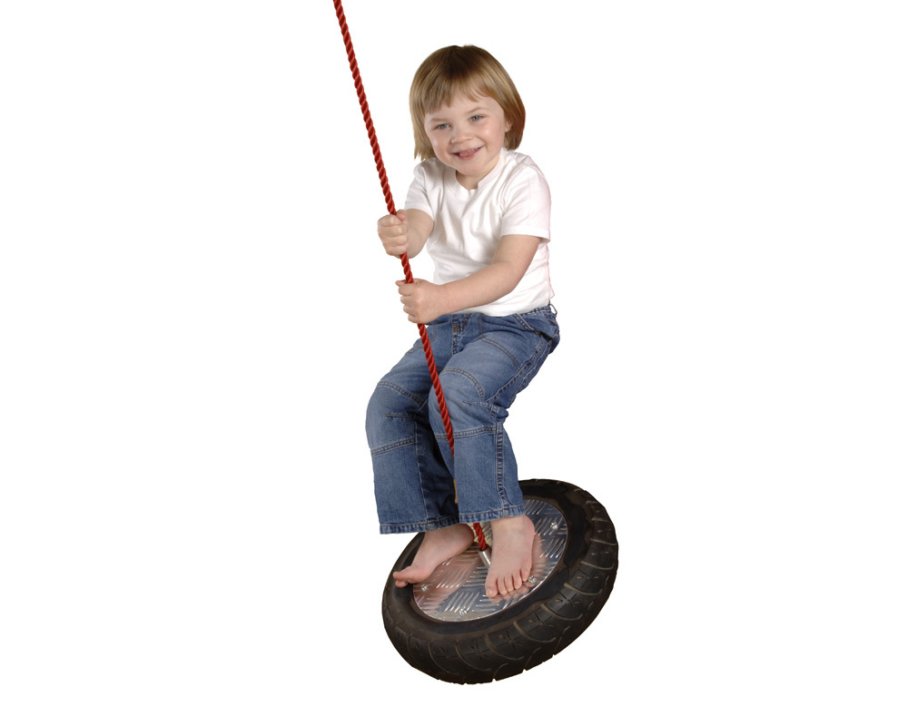 Unbranded Tree Tyre Swing