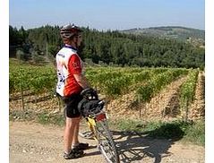 Enjoy a change pace and scenery and feel the cool breeze in your face on this leisurely bike ride through the glorious Tuscan countryside.