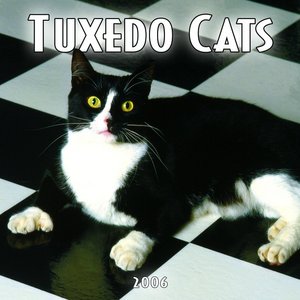 Tuxedo Cats Calendar