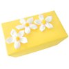 Unbranded txtChoc Gift (Medium) in ``Sunshine Daisy`` Gift