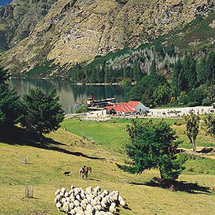 Relive the nostalgia and elegance of days gone by on this scenic cruise across Lake Wakatipu to Walt