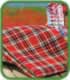 Waterproof Picnic Rug