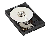 WD Caviar SE WD2500AAJB - Hard drive - 250 GB - internal - 3.5 - ATA-100 - 7200 rpm - buffer: 8 MB