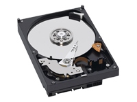 WD RE2 WD1601ABYS - Hard drive - 160 GB - internal - 3.5 - SATA-300 - 7200 rpm - buffer: 16 MB