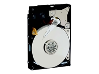 WD RE2 WD2502ABYS - Hard drive - 250 GB - internal - 3.5 - SATA-300 - 7200 rpm - buffer: 16 MB