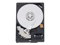 WD RE3 WD5002ABYS - Hard drive - 500 GB - internal - 3.5 - SATA-300 - 7200 rpm - buffer: 16 MB