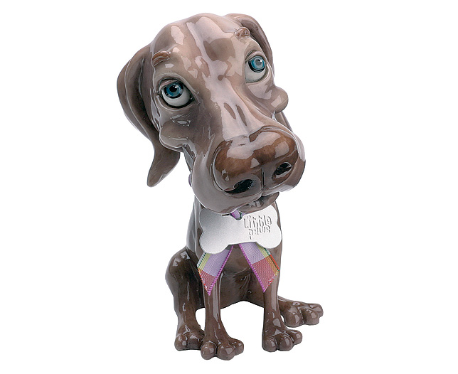 Unbranded Weimaraner Plain