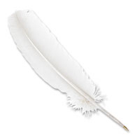 white ballpoint quill