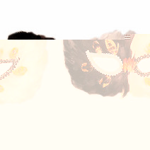 Unbranded WHITE/BLACK FEATHER