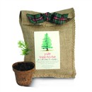 Do you search high and low every year for the perfect Christmas tree? Or have you always dreamt of