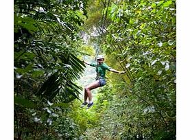 Unbranded Zipline Canopy from Ocho Rios - Child