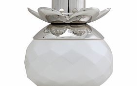 Feerie Rose Des Nieges Eau