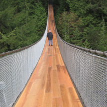 City Tour and Capilano Suspension