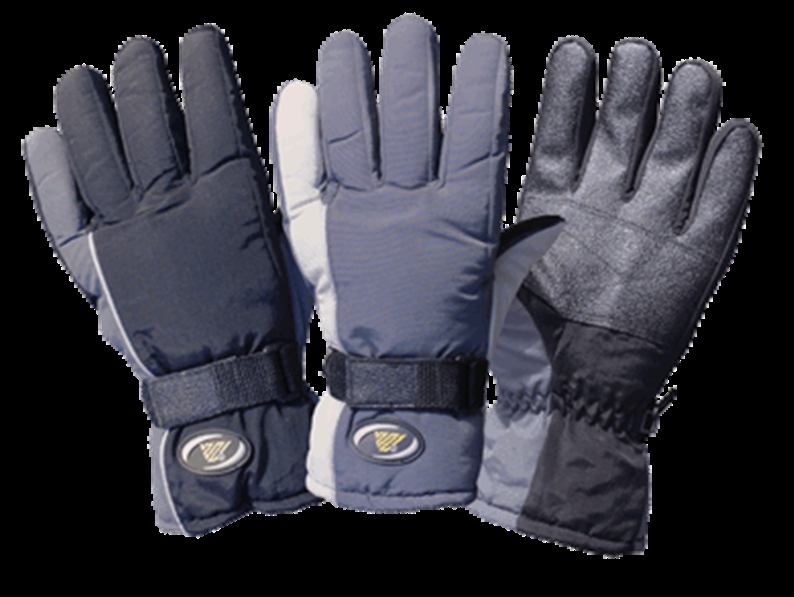 VENTURE LADIES GLOVES