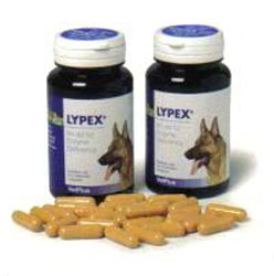 Vet Plus Lypex Capsules