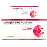 Vetoquinol Clavaseptin 500mg