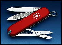 Victorinox Penknife - Classic (Purple Plum) - Ref 06203202