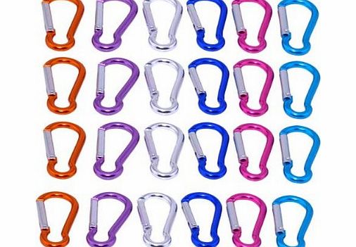 VicTsing 24Pcs Mixed Colour S Carabiner stainless Camp Spring Snap Clip Hook Keychain Keyring Camping Climbing Hiking