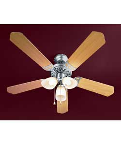 Ceiling Fan