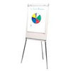 Viking Budget Flipchart Easel