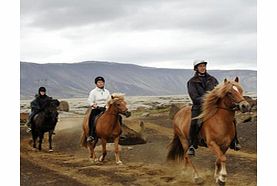 Viking Horse Ride plus the Blue Lagoon - Child