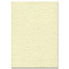 Viking Sigel Parchment 200gsm Paper - Champagne 50/shts