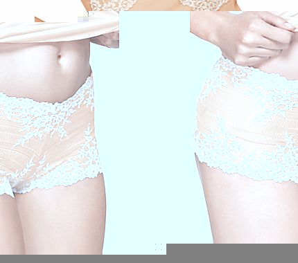 Wacoal Embrace Lace Shorts