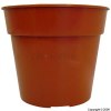 Ward Terracotta Flower Pot 10`