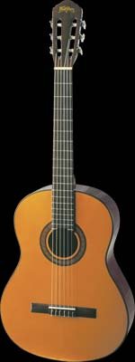 Washburn C40 - The Cadiz