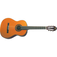 Washburn C40 Classical Acoustic Guitar