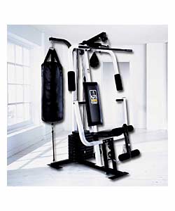 Weider Sparring System