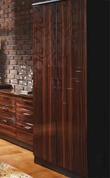 Welcome Furniture Emmeline High Gloss 2 Door Tall Wardrobe in Ebony