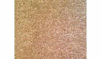 WEST DERBY CARPETS ONLINE LTD. LUXURY CHEAP!! CREAM/BEIGE bathroom Carpet - washable waterproof carpet 2 metres wide choose your own length in 1ft.(foot) Lenghts