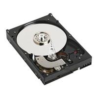 Western Digital 160GB Caviar 8MB Hard Disk Drive 7200rpm ATA100(JB) oem